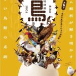 特別展 鳥～ゲノム解析が解き明かす新しい鳥類の系統～｜3月14日（土）～6月14日（日）大阪市立自然史博物館で開催